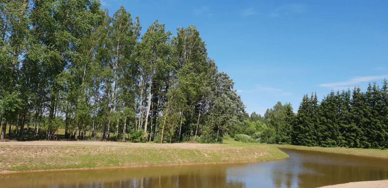Lazariskio Apartamentai Martiniskenai Exteriör bild